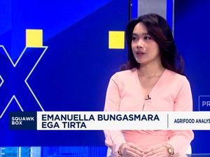 Video: Beras Oplosan Menjamur & Bikin Resah, Salah Siapa?