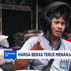 Video: Harga Beras Terus Menanjak, Walau Stok Berlimpah