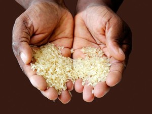 Beras Oplosan Berpotensi Pakai Bahan Kimia, Tak Hilang meski Sudah Dicuci