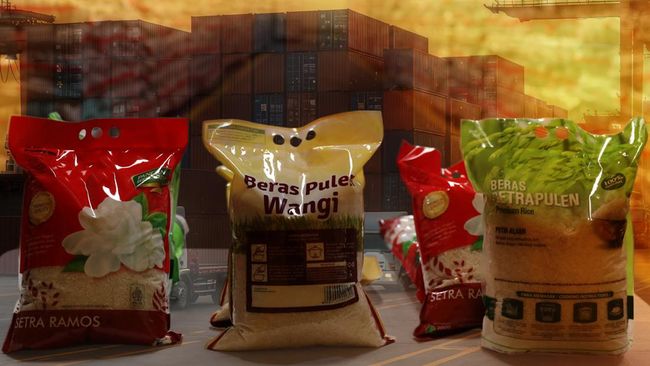 Impor Beras Premium Jeblok, Ini 5 Negara Penyuplai Terbesar
