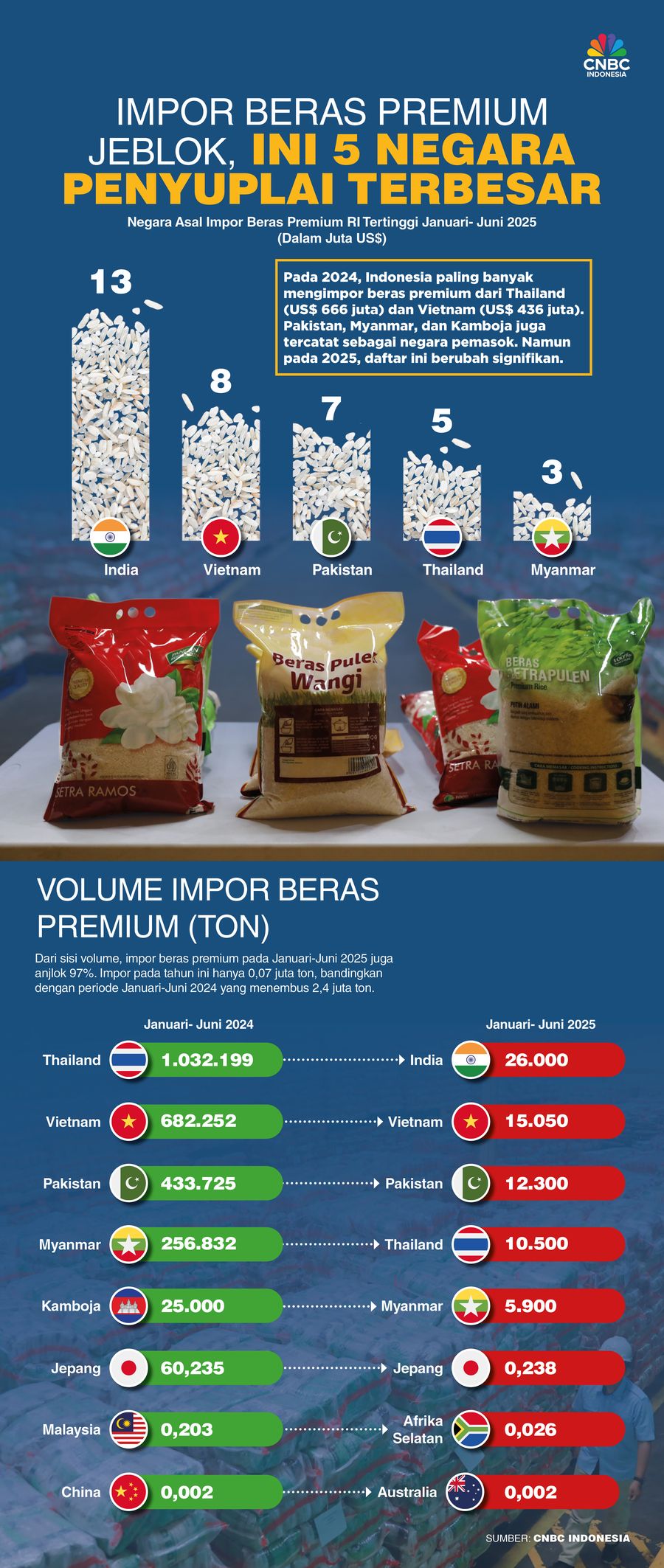 Impor Beras Premium Jeblok, Ini 5 Negara Penyuplai Terbesar