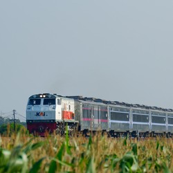 Kereta Api Kelas Bisnis di Pulau Jawa Resmi Dihapus