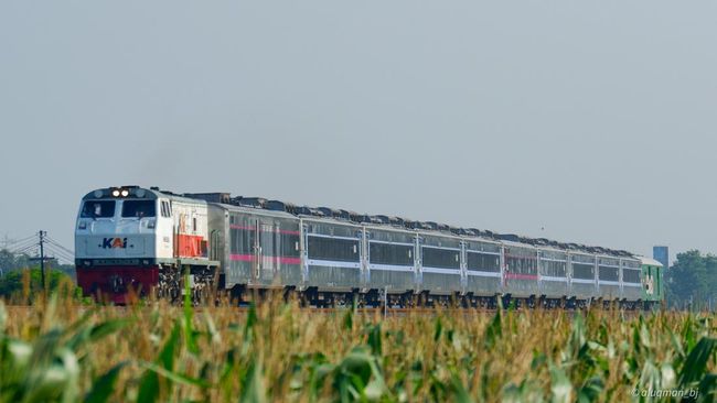 Kereta Api Kelas Bisnis di Pulau Jawa Resmi Dihapus