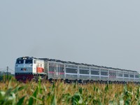 Kereta Api Kelas Bisnis di Pulau Jawa Resmi Dihapus