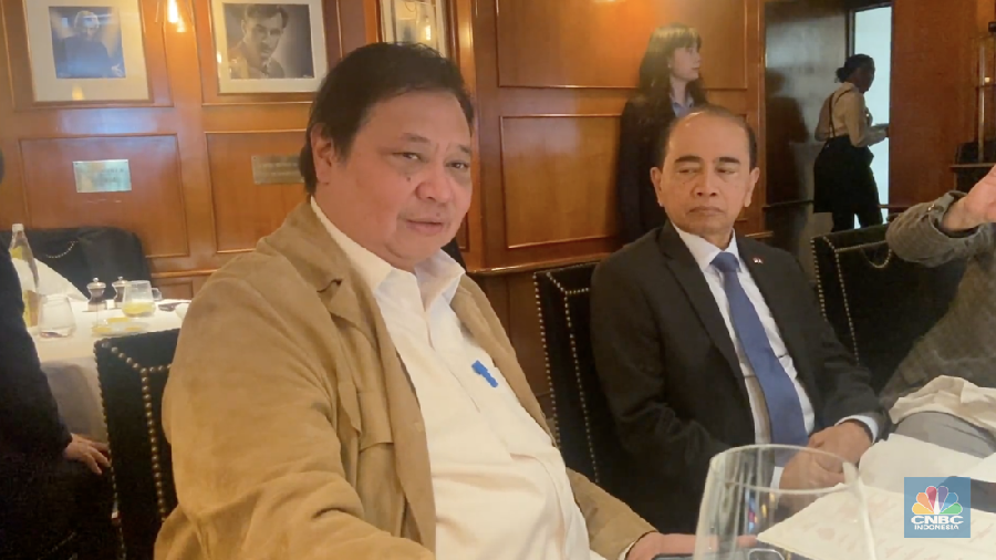 Menko Perekonomian, Airlangga Hartarto. (CNBC Indonesia/Sefti Oktarianisa)
