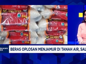 Video: Warga RI Rugi Karena Beras Oplosan, Efek Pengawasan Longgar?