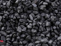 Harga Batu bara Kembali Naik, Dunia Ketahuan Munafik?