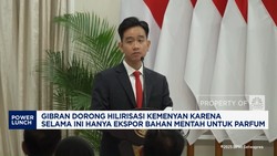 Video: Diekspor Mentah Untuk Parfum, Gibran Dorong Hilirisasi Kemenyan