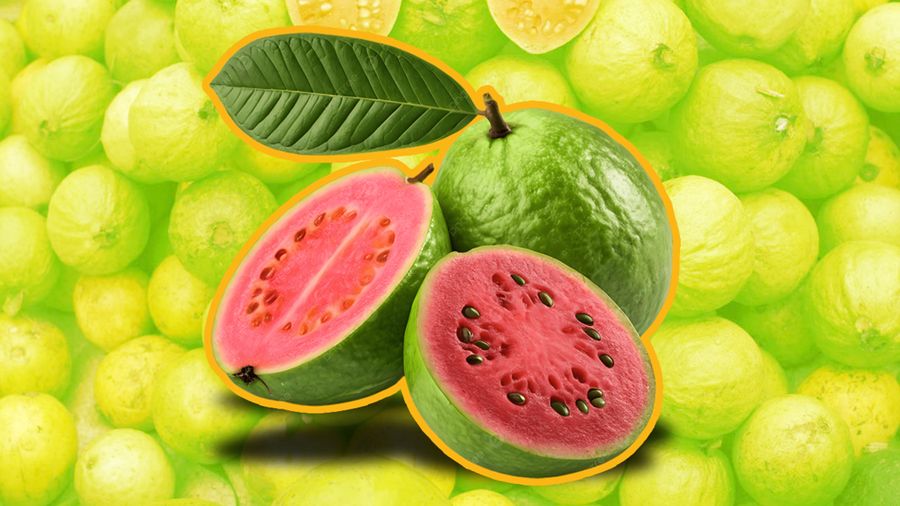 Mari Tepuk Tangan! RI Ternyata Penghasil Jambu Terbesar di Dunia Mari Tepuk Tangan!
RI Ternyata Penghasil Jambu Terbesar di Dunia
