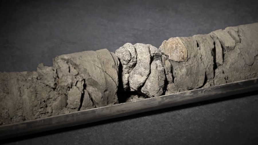 Sebagian tulang dinosaurus yang ditemukan di Museum Alam dan Sains Denver. Foto milik History Colorado, Kantor Arkeolog Negara Bagian. (Tangkapan Layar/Artnet.com)