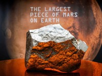 Potret Batu Raksasa dari Planet Mars Laku Terjual Rp86 Miliar!