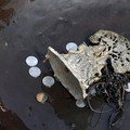 Hidup Penyelam Sungai di India Cari Koin-Emas & Evakuasi Mayat