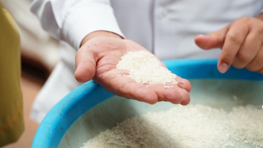 Harga beras tergantung jenisnya. (dok. Bapanas)