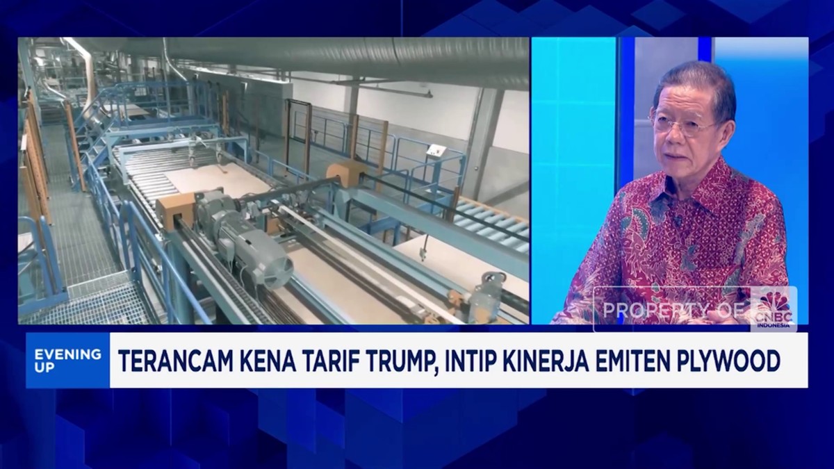Video: Industri Kayu Lapis Tertekan Tarif, Pasar Ekspor Melemah