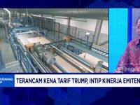 Video: Industri Kayu Lapis Tertekan Tarif, Pasar Ekspor Melemah