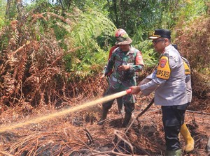 Aksi Sigap Kapolres Kampar Turun Tangan Tangani Karhutla di Rimbo Panjang