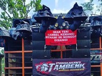 MUI Keluarkan Fatwa Haram Sound Horeg, Ini Respons Kementerian Hukum