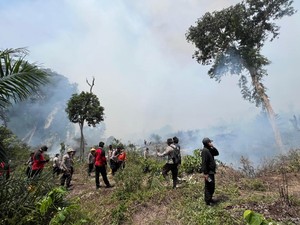 Karhutla di Rohul Meluas, Dinkes Riau Belum Buka Posko Kesehatan