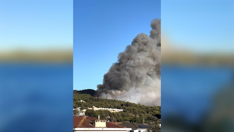 Pohon-pohon terbakar saat kebakaran di Martigues, Prancis, Jumat (18/7/2025). (REUTERS/Manon Cruz)