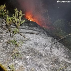 Disegel Terkait Dugaan Kebakaran Hutan, Perusahaan Sawit Ini Bantah