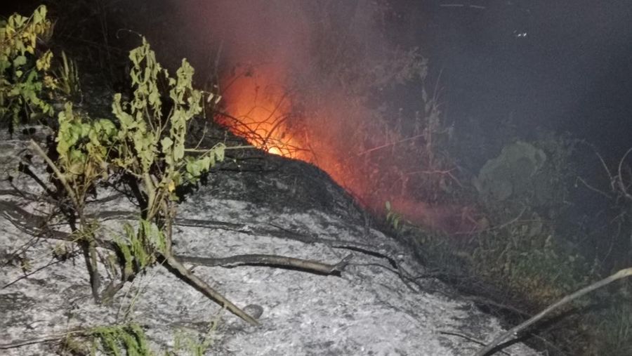Kebakaran hutan dan lahan (karhutla) yang melanda wilayah Kabupaten Tanah Datar, Provinsi Sumatera Barat, pada Jumat (18/7) pukul 15.00 WIB. (Dok. BPBD Kabupaten Tanah Datar)