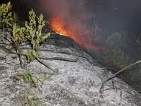 Disegel Terkait Dugaan Kebakaran Hutan, Perusahaan Sawit Ini Bantah