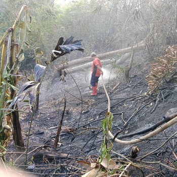 Rentetan Bencana Hantam RI: Gempa Jawa Timur-Kebakaran Hutan di Sumut