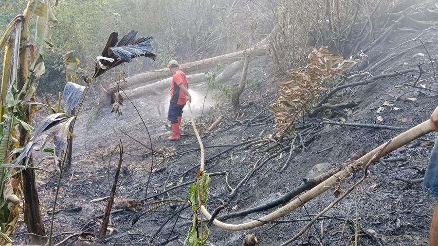 Tim gabungan melakukan pemadaman titik api pada Kebakaran Hutan dan Lahan (Karhutla) yang terjadi di dua kecamatan yang ada di Kabupaten Simalungun, Provinsi Sumatera Utara, pada Kamis (17/7) pukul 10.00 WIB. (Dok. BPBD Kabupaten Simalungun)