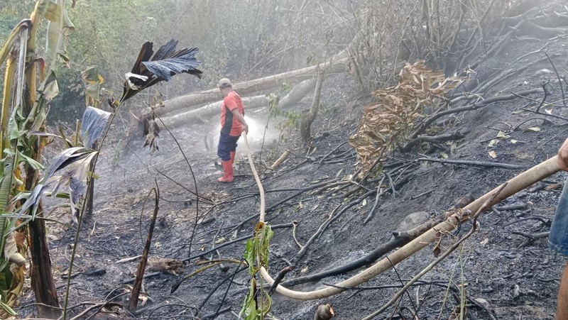 Tim gabungan melakukan pemadaman titik api pada Kebakaran Hutan dan Lahan (Karhutla) yang terjadi di dua kecamatan yang ada di Kabupaten Simalungun, Provinsi Sumatera Utara, pada Kamis (17/7) pukul 10.00 WIB. (Dok. BPBD Kabupaten Simalungun)