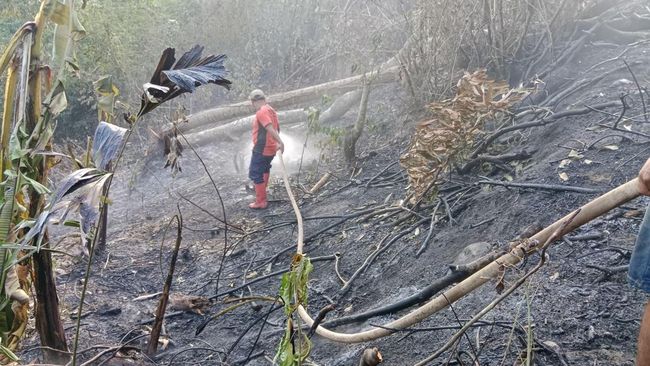 Rentetan Bencana Hantam RI: Gempa Jawa Timur-Kebakaran Hutan di Sumut