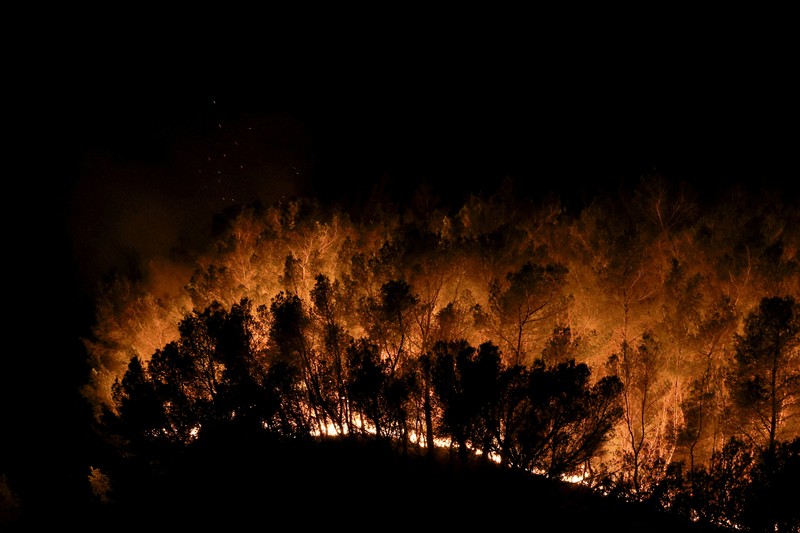 Pohon-pohon terbakar saat kebakaran di Martigues, Prancis, Jumat (18/7/2025). (REUTERS/Manon Cruz)