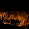 Suhu Panas Mendidih, Hutan di Prancis Terbakar Dahsyat-Warga Mengungsi