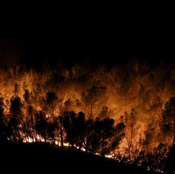 Suhu Panas Mendidih, Hutan di Prancis Terbakar Dahsyat-Warga Mengungsi