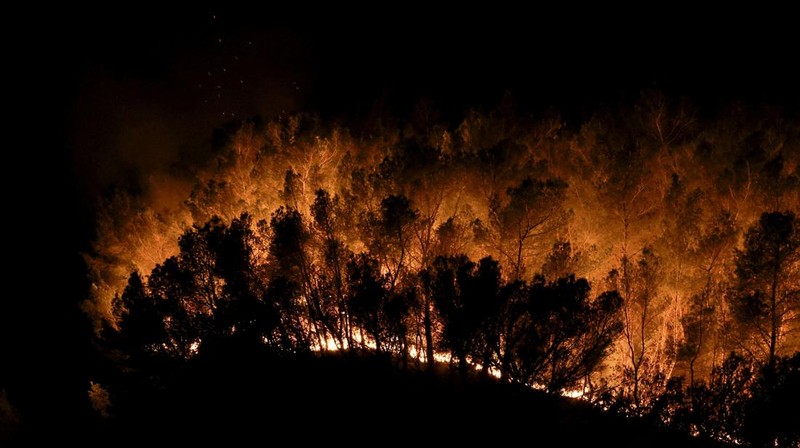 Pohon-pohon terbakar saat kebakaran di Martigues, Prancis, Jumat (18/7/2025). (REUTERS/Manon Cruz)
