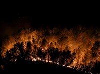 Suhu Panas Mendidih, Hutan di Prancis Terbakar Dahsyat-Warga Mengungsi