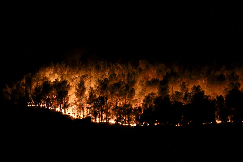 Pohon-pohon terbakar saat kebakaran di Martigues, Prancis, Jumat (18/7/2025). (REUTERS/Manon Cruz)