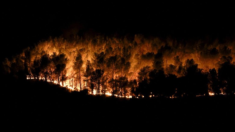 Pohon-pohon terbakar saat kebakaran di Martigues, Prancis, Jumat (18/7/2025). (REUTERS/Manon Cruz)