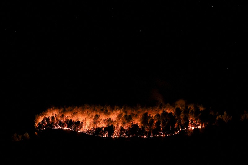 Pohon-pohon terbakar saat kebakaran di Martigues, Prancis, Jumat (18/7/2025). (REUTERS/Manon Cruz)