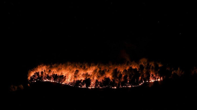 Pohon-pohon terbakar saat kebakaran di Martigues, Prancis, Jumat (18/7/2025). (REUTERS/Manon Cruz)