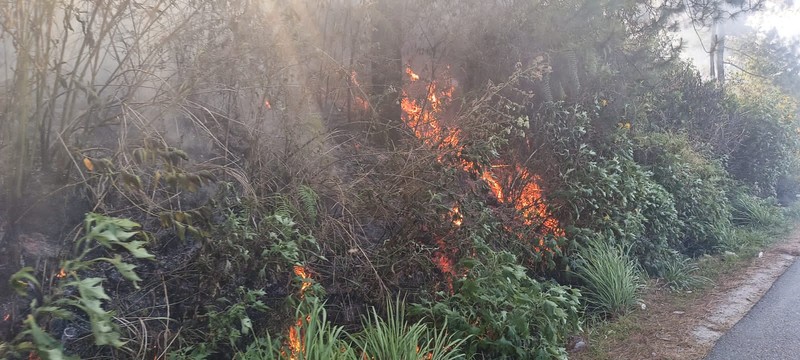 Tim gabungan melakukan pemadaman titik api pada Kebakaran Hutan dan Lahan (Karhutla) yang terjadi di dua kecamatan yang ada di Kabupaten Simalungun, Provinsi Sumatera Utara, pada Kamis (17/7) pukul 10.00 WIB. (Dok. BPBD Kabupaten Simalungun)