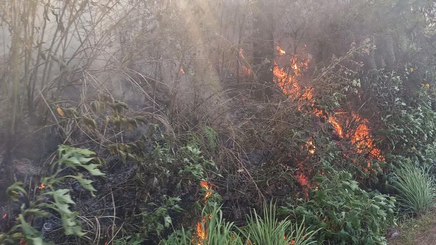Tim gabungan melakukan pemadaman titik api pada Kebakaran Hutan dan Lahan (Karhutla) yang terjadi di dua kecamatan yang ada di Kabupaten Simalungun, Provinsi Sumatera Utara, pada Kamis (17/7) pukul 10.00 WIB. (Dok. BPBD Kabupaten Simalungun) Tim gabungan melakukan pemadaman titik api pada Kebakaran Hutan dan Lahan (Karhutla) yang terjadi di dua kecamatan yang ada di Kabupaten Simalungun, Provinsi Sumatera Utara, pada Kamis (17/7) pukul 10.00 WIB. (Dok. BPBD Kabupaten Simalungun)