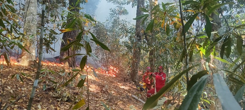 Tim gabungan melakukan pemadaman titik api pada Kebakaran Hutan dan Lahan (Karhutla) yang terjadi di dua kecamatan yang ada di Kabupaten Simalungun, Provinsi Sumatera Utara, pada Kamis (17/7) pukul 10.00 WIB. (Dok. BPBD Kabupaten Simalungun)