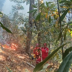 Siaga Awan Hujan Tutupi RI, BMKG: Wilayah Ini Awas Kekeringan-Karhutla