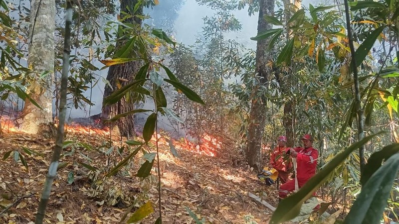 Tim gabungan melakukan pemadaman titik api pada Kebakaran Hutan dan Lahan (Karhutla) yang terjadi di dua kecamatan yang ada di Kabupaten Simalungun, Provinsi Sumatera Utara, pada Kamis (17/7) pukul 10.00 WIB. (Dok. BPBD Kabupaten Simalungun)