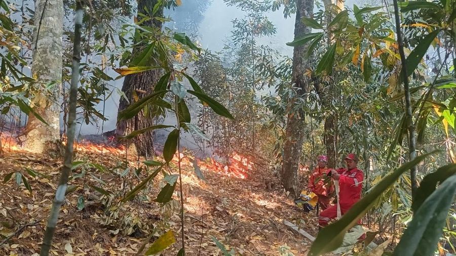 Tim gabungan melakukan pemadaman titik api pada Kebakaran Hutan dan Lahan (Karhutla) yang terjadi di dua kecamatan yang ada di Kabupaten Simalungun, Provinsi Sumatera Utara, pada Kamis (17/7) pukul 10.00 WIB. (Dok. BPBD Kabupaten Simalungun) Tim gabungan melakukan pemadaman titik api pada Kebakaran Hutan dan Lahan (Karhutla) yang terjadi di dua kecamatan yang ada di Kabupaten Simalungun, Provinsi Sumatera Utara, pada Kamis (17/7) pukul 10.00 WIB. (Dok. BPBD Kabupaten Simalungun)