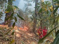 Siaga Awan Hujan Tutupi RI, BMKG: Wilayah Ini Awas Kekeringan-Karhutla