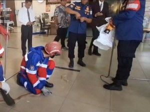 Damkar Evakuasi Ular Kobra di Area Bandara Sultan Thaha Jambi