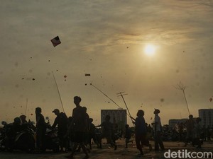 Serunya Bermain dan Berebut Layang Putus di Sudut Kota