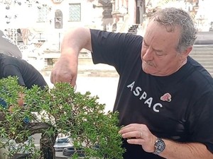 Pakar-pakar Bonsai Internasional Hadir di Ajang Aspac Gianyar