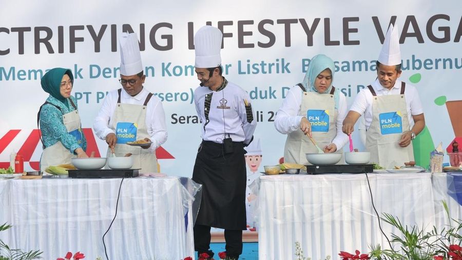 Dok PLN